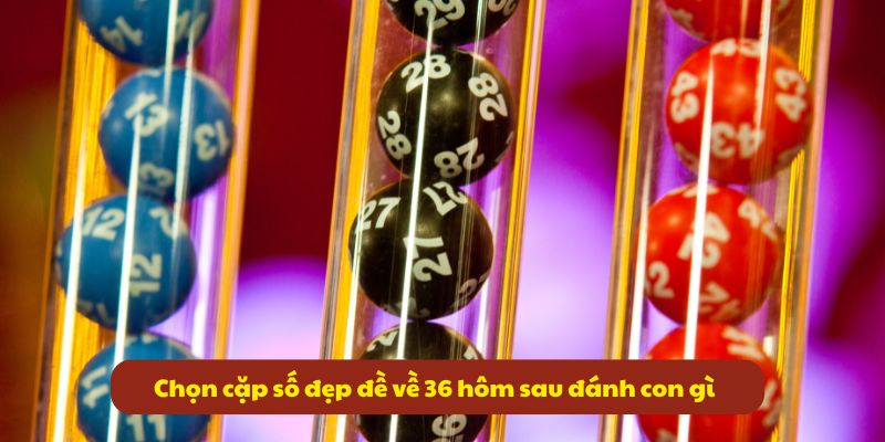 Đề về 36 hôm sau đánh con gì? Giải mã số đề cùng 99OK 6 Chọn cặp số đẹp đề về 36 hôm sau đánh con gì