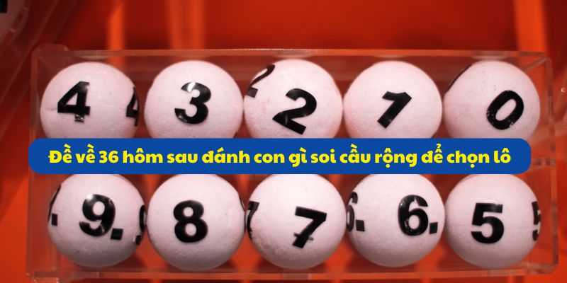 Đề về 36 hôm sau đánh con gì? Giải mã số đề cùng 99OK 4 Đề về 36 hôm sau đánh con gì soi cầu rộng để chọn lô