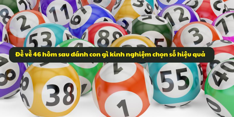 Đề về 46 hôm sau đánh con gì? Kinh nghiệm đánh đề chuẩn xác 7 Đề về 46 hôm sau đánh con gì kinh nghiệm chọn số hiệu quả