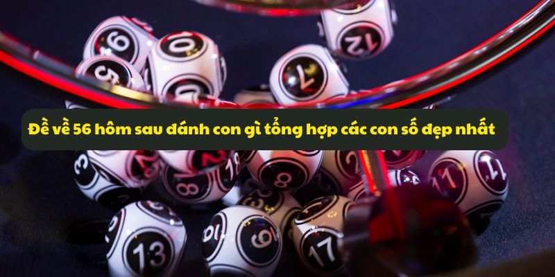 Đề về 56 hôm sau đánh con gì? Phân tích thống kê đề dễ về 7 Đề về 56 hôm sau đánh con gì tổng hợp các con số đẹp nhất