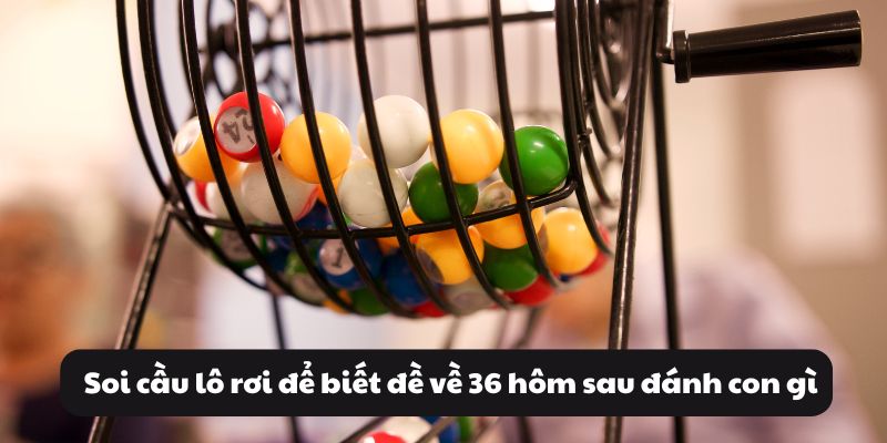 Đề về 36 hôm sau đánh con gì? Giải mã số đề cùng 99OK 3 Soi cầu lô rơi để biết đề về 36 hôm sau đánh con gì